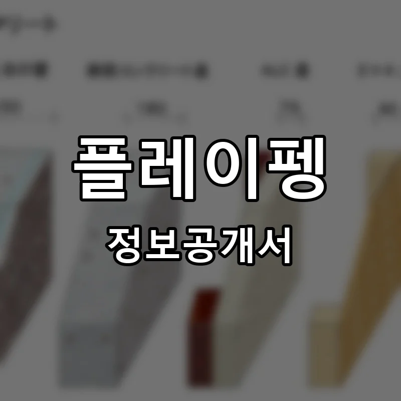 플레이펭 프랜차이즈 정보공개서