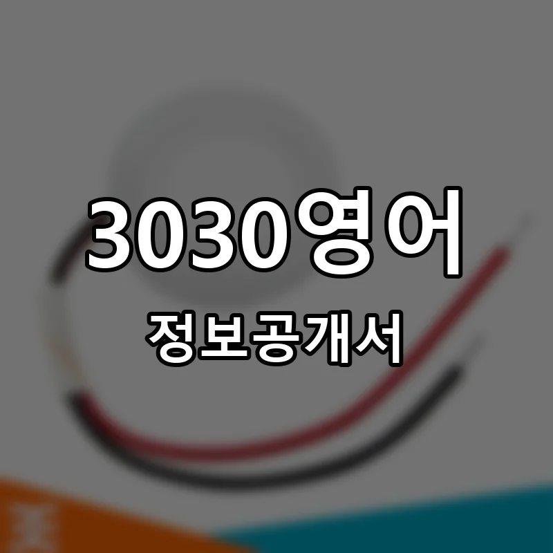 3030영어 프랜차이즈 정보공개서