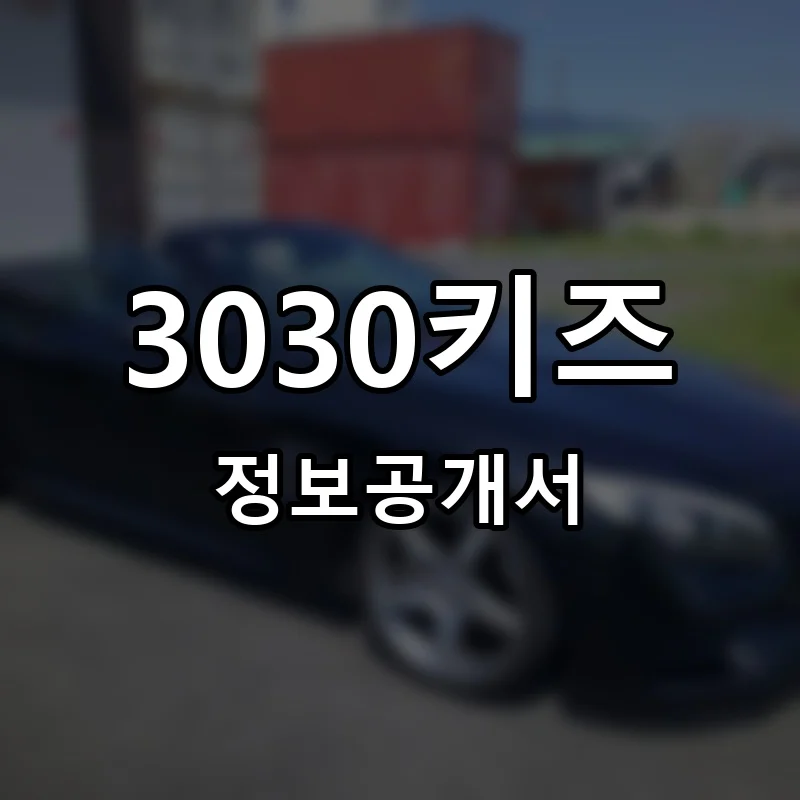 3030키즈 프랜차이즈 정보공개서
