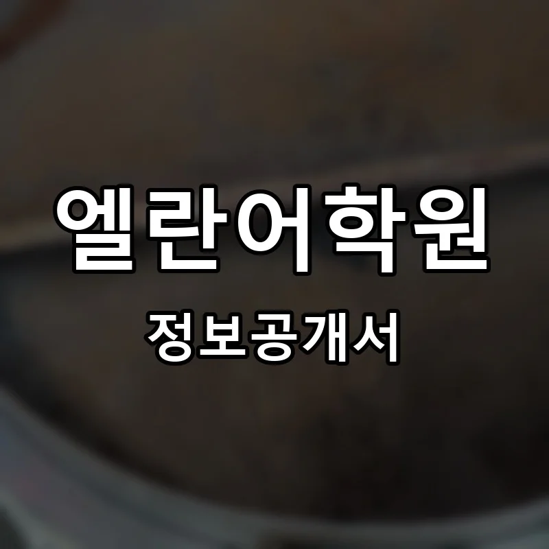 엘란어학원 프랜차이즈 정보공개서