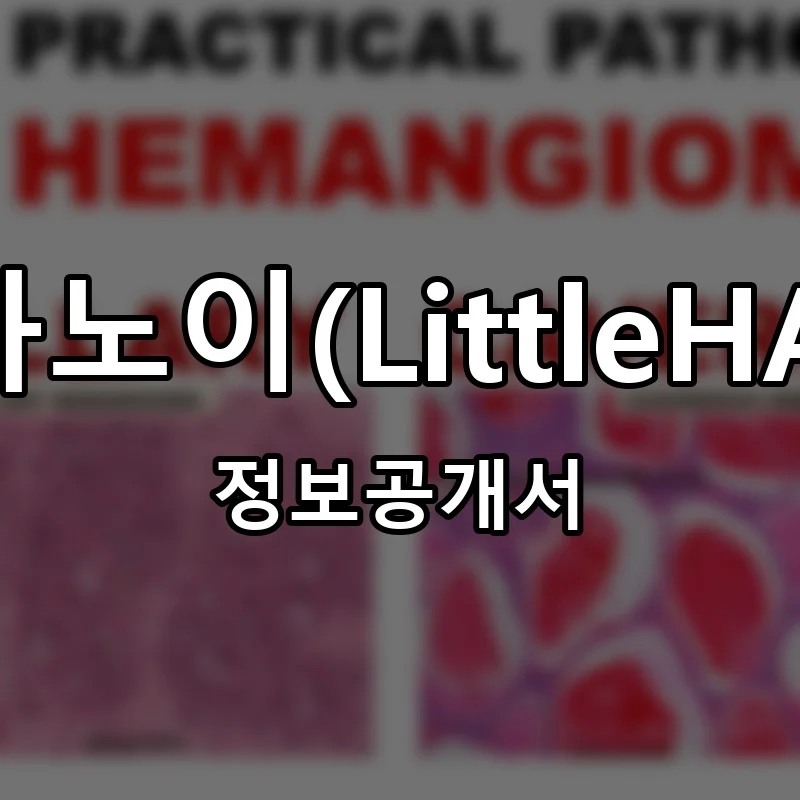 리틀하노이(LittleHANOI) 프랜차이즈 정보공개서
