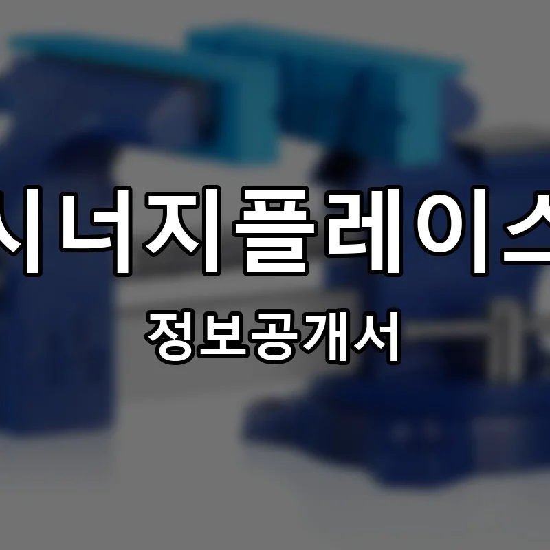 시너지플레이스 프랜차이즈 창업 비용 정보공개서 요약