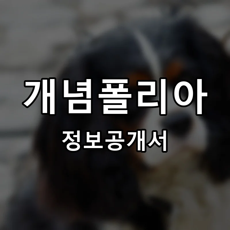 개념폴리아 프랜차이즈 창업 비용 정보공개서 요약