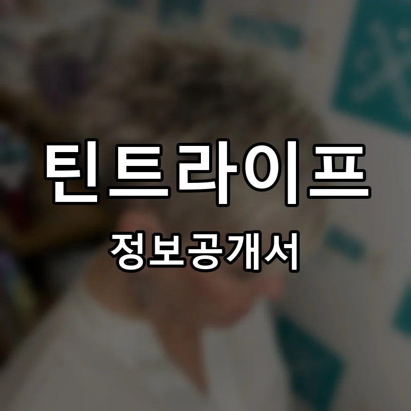 틴트라이프 프랜차이즈 창업 비용 정보공개서 요약