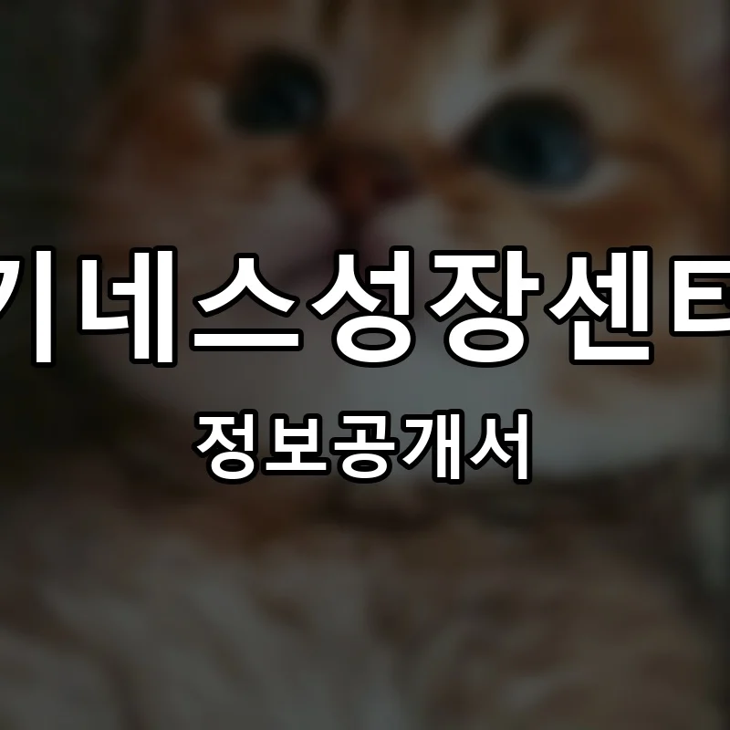 키네스성장센터 프랜차이즈 창업 비용 정보공개서 요약