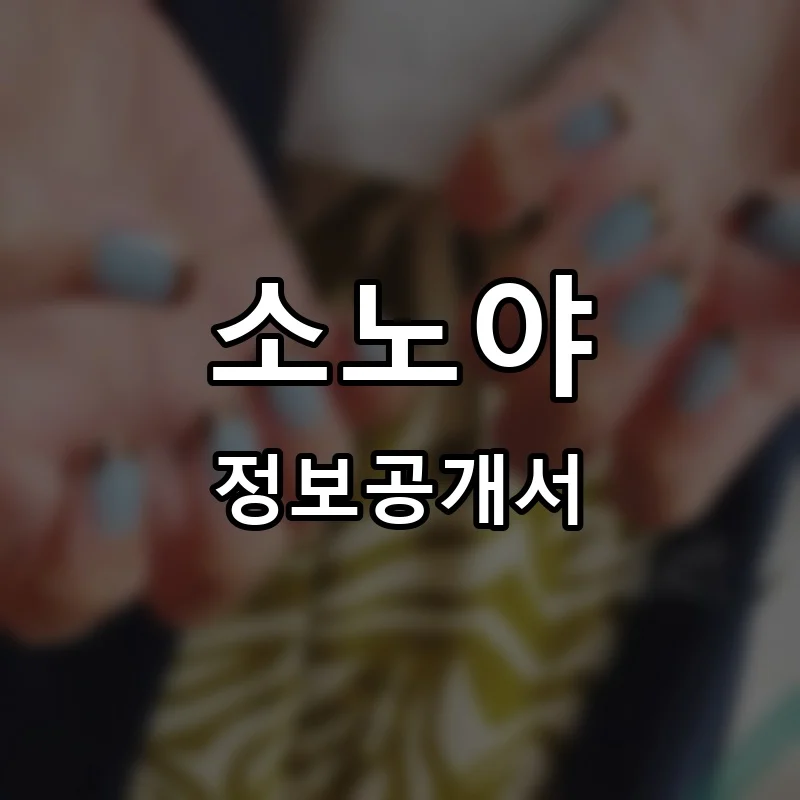 소노야 프랜차이즈 정보공개서