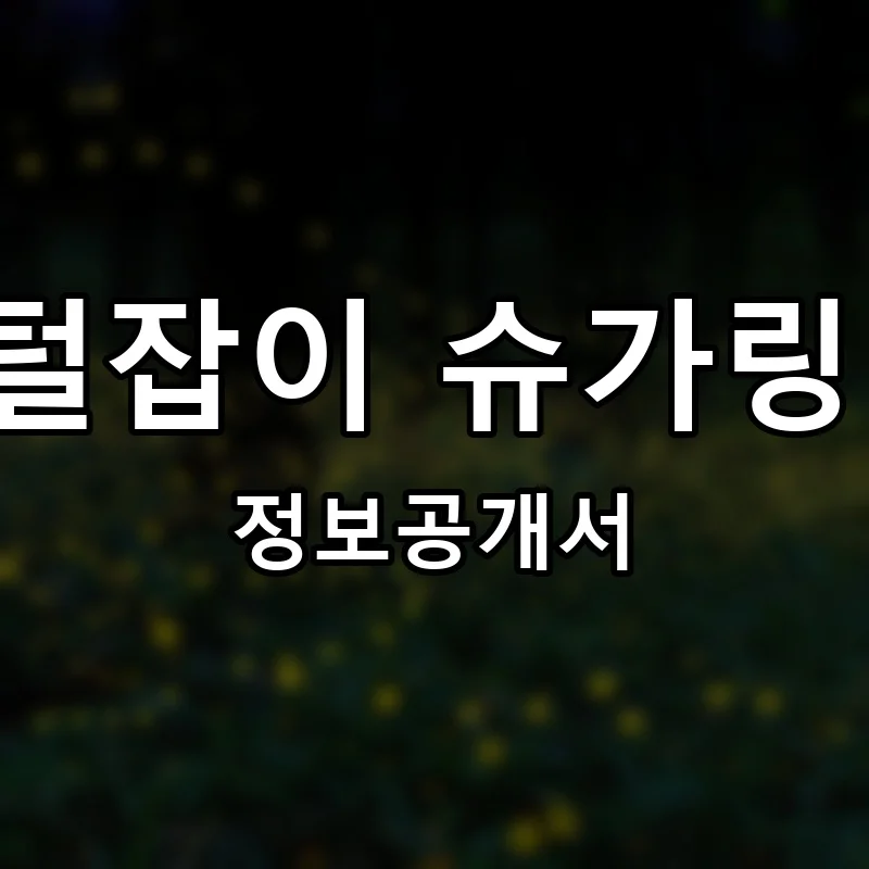 국민털잡이 슈가링 왁싱 프랜차이즈 정보공개서