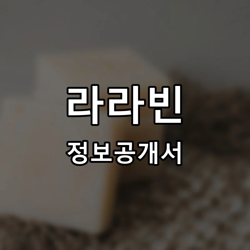 라라빈 프랜차이즈 정보공개서