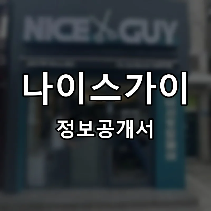 나이스가이 프랜차이즈 정보공개서