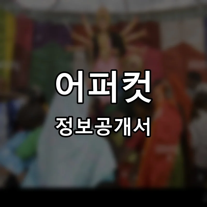 어퍼컷 프랜차이즈 정보공개서