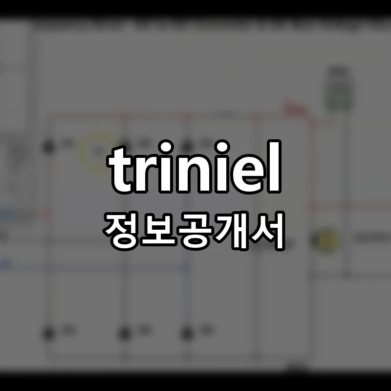 triniel(트리니엘) 프랜차이즈 창업 비용 정보공개서 요약