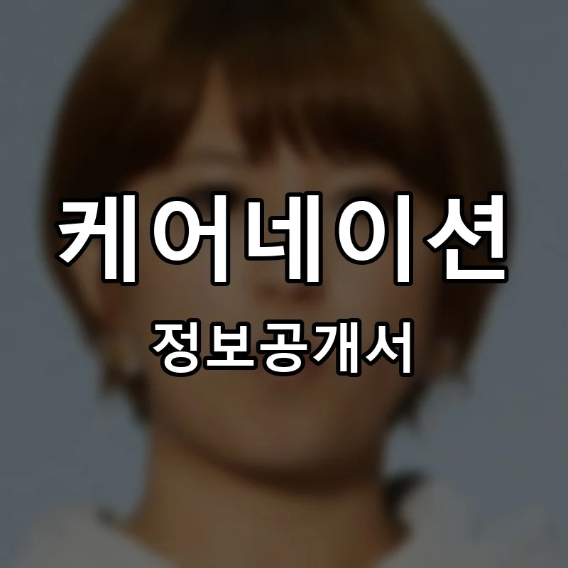 케어네이션 프랜차이즈 창업 비용 정보공개서 요약