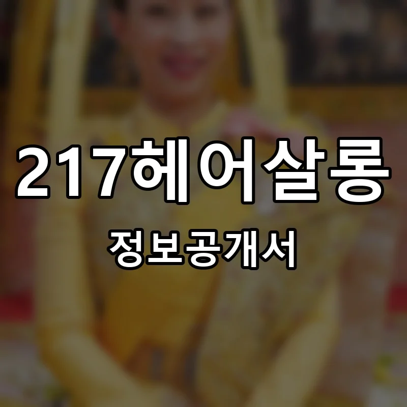 217헤어살롱 창업 프랜차이즈 정보공개서 요약 2026.06.12