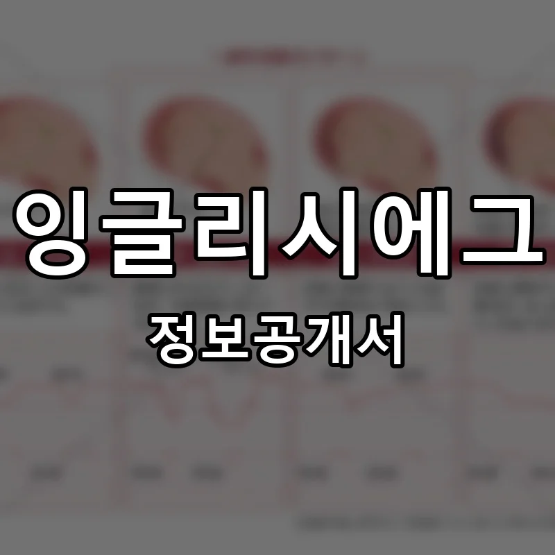 잉글리시에그(Englishegg) 프랜차이즈 창업 비용 정보공개서 요약