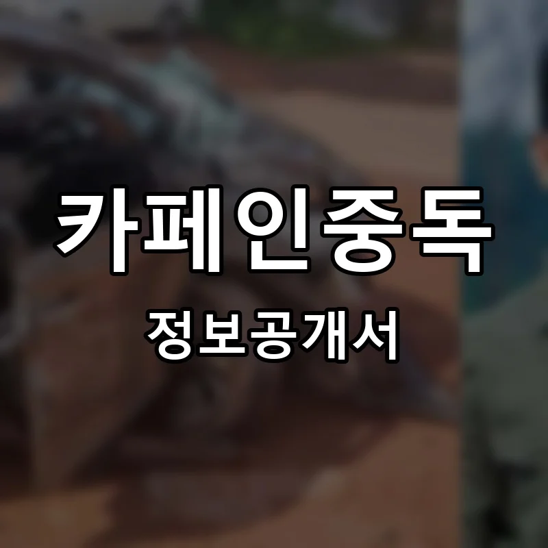 카페인중독 프랜차이즈 창업 비용 정보공개서 요약