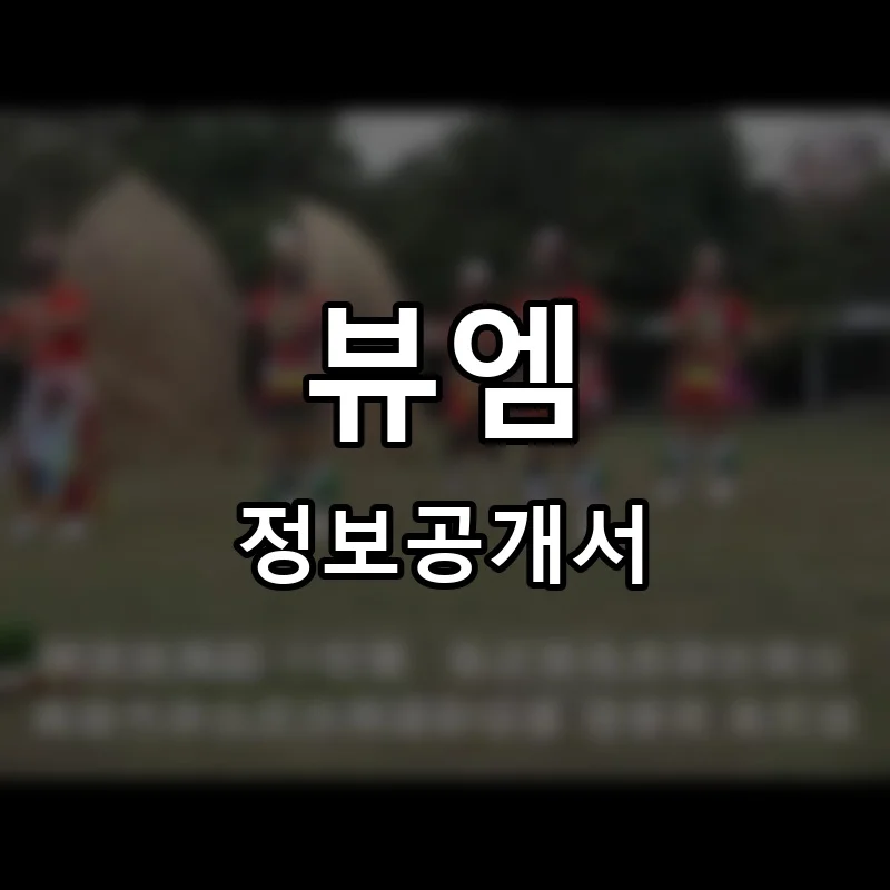 뷰엠 프랜차이즈 정보공개서