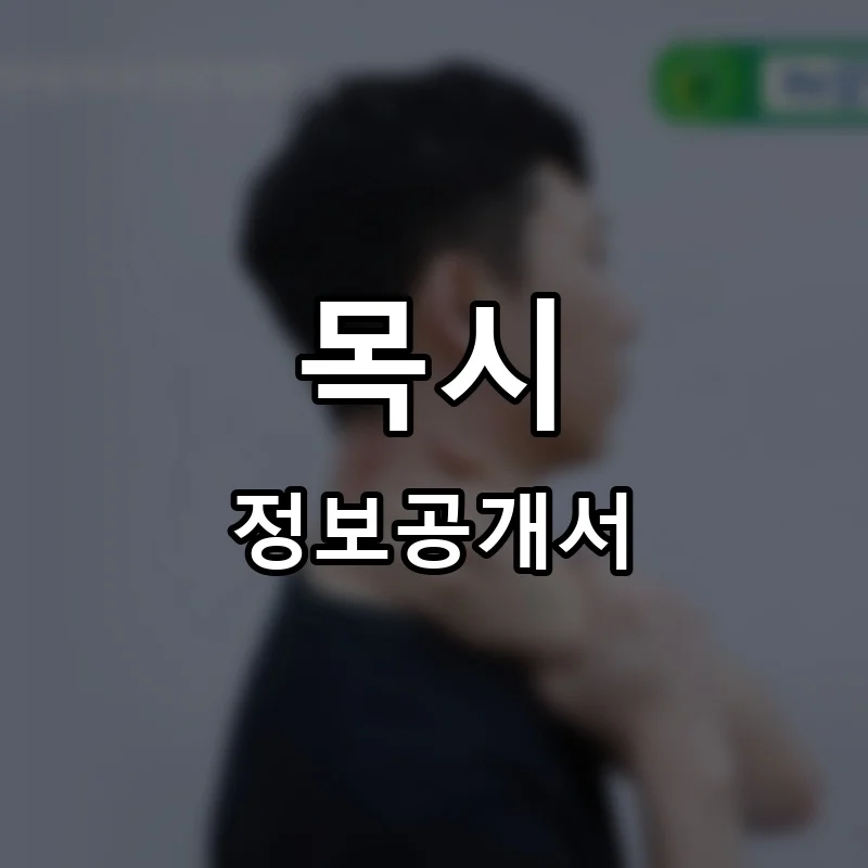 목시 프랜차이즈 정보공개서