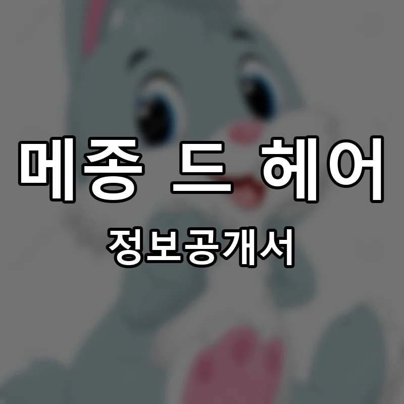 메종 드 헤어 프랜차이즈 창업 비용 정보공개서 요약