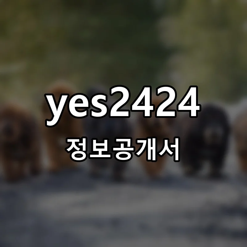 yes2424 프랜차이즈 정보공개서