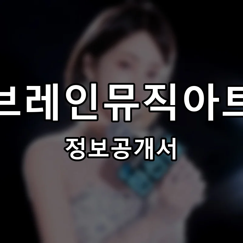 브레인뮤직아트 프랜차이즈 정보공개서