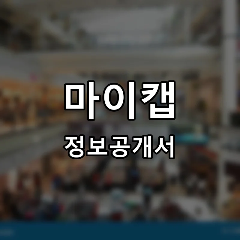 마이캡(my cab) 프랜차이즈 창업 비용 정보공개서 요약