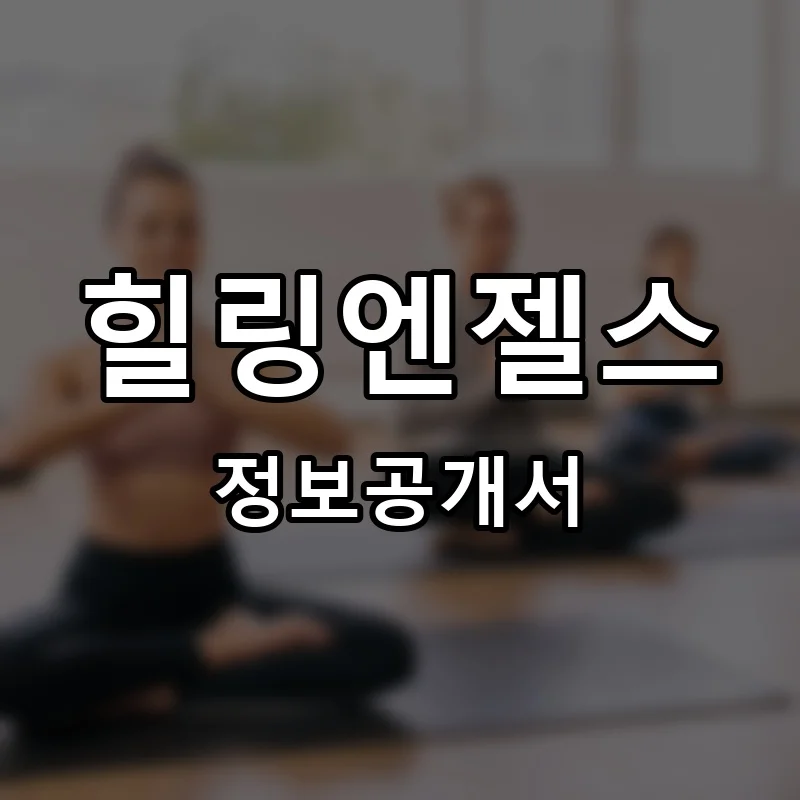 힐링엔젤스 프랜차이즈 창업 비용 정보공개서 요약
