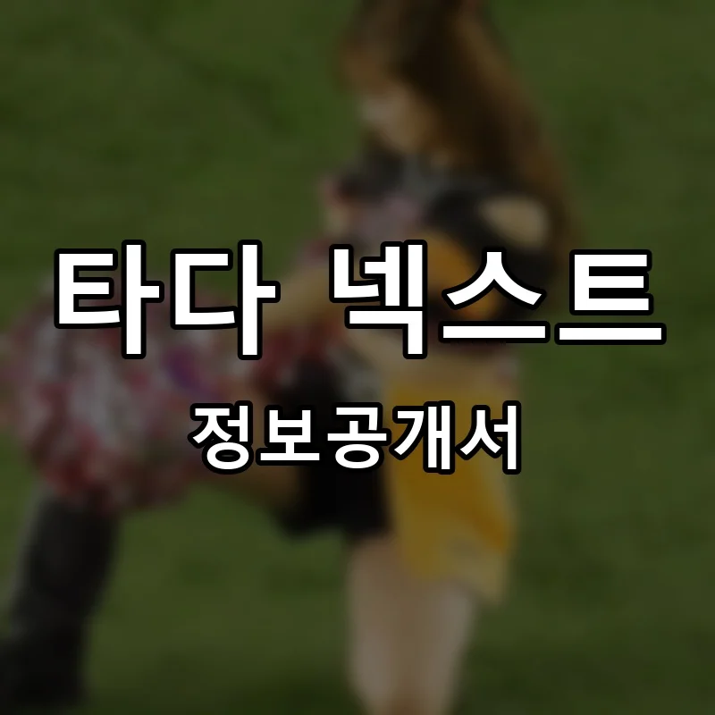타다 넥스트(TADA NEXT) 프랜차이즈 정보공개서