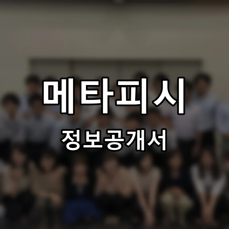메타피시(META PC) 프랜차이즈 정보공개서