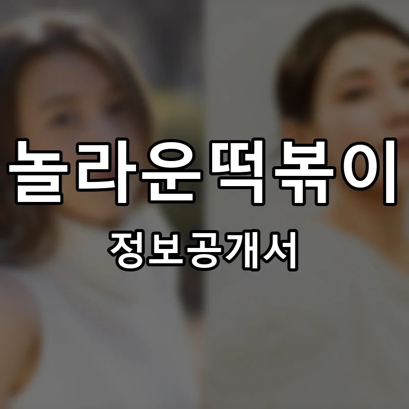 놀라운떡볶이 프랜차이즈 창업 비용 정보공개서 요약