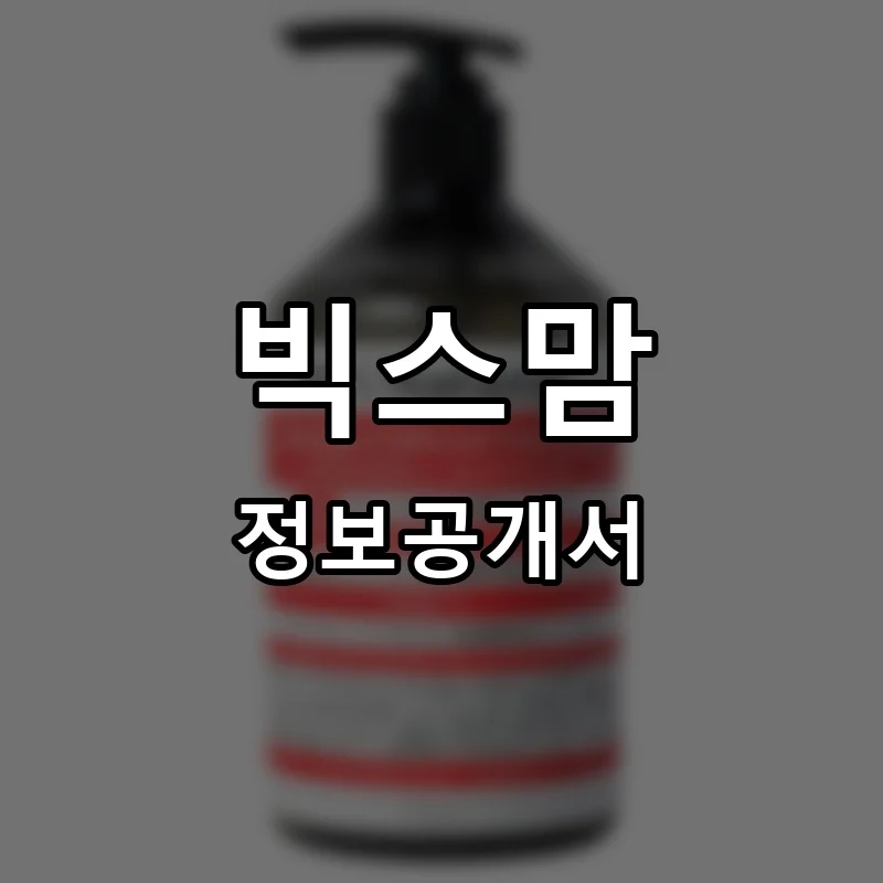 빅스맘 프랜차이즈 창업 비용 정보공개서 요약