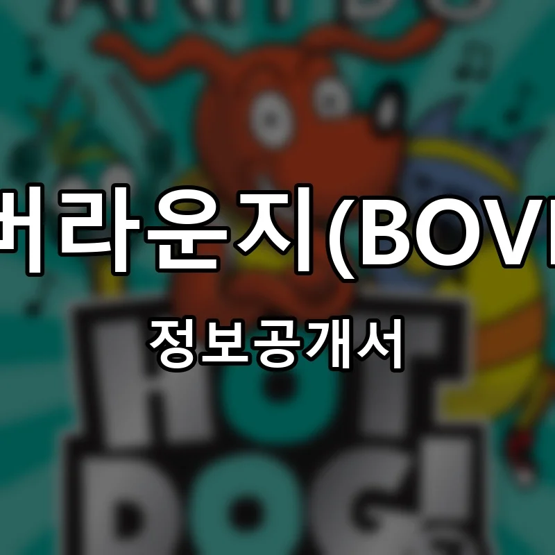 보버라운지(BOVER) 프랜차이즈 창업 비용 정보공개서 요약