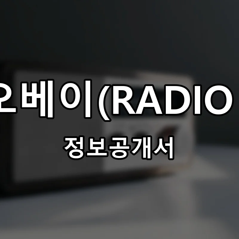 라디오베이(RADIO BAY) 프랜차이즈 창업 비용 정보공개서 요약