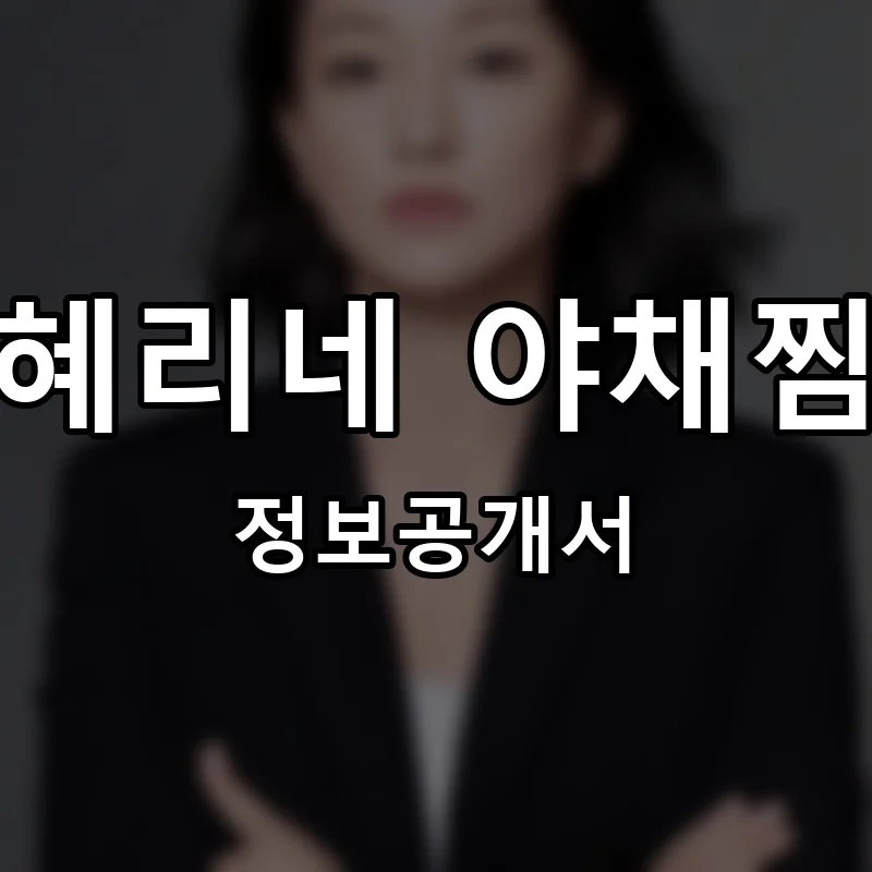 혜리네 야채찜 프랜차이즈 창업 비용 정보공개서 요약
