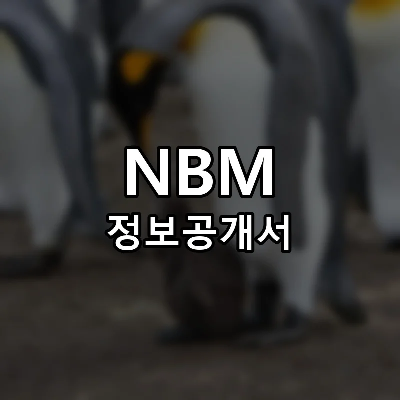 NBM 창업 프랜차이즈 정보공개서 요약 2026.06.17