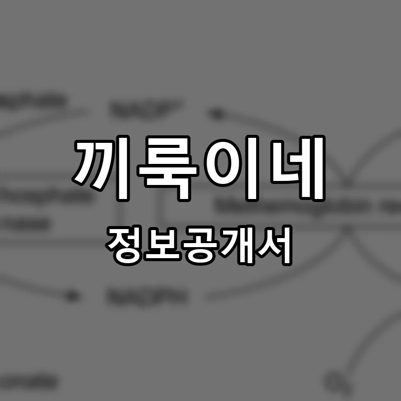 끼룩이네 프랜차이즈 창업 비용 정보공개서 요약