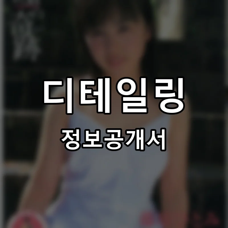 디테일링(detailing) 프랜차이즈 창업 비용 정보공개서 요약