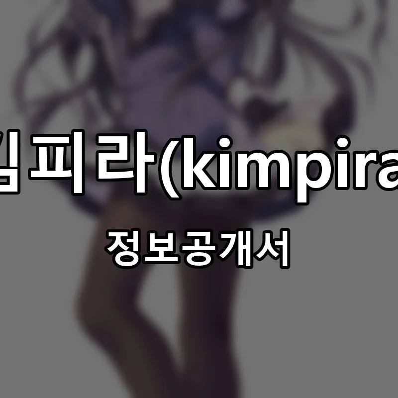 김피라(kimpira) 프랜차이즈 창업 비용 정보공개서 요약