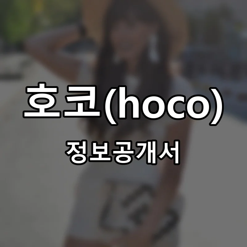호코(hoco) 프랜차이즈 창업 비용 정보공개서 요약