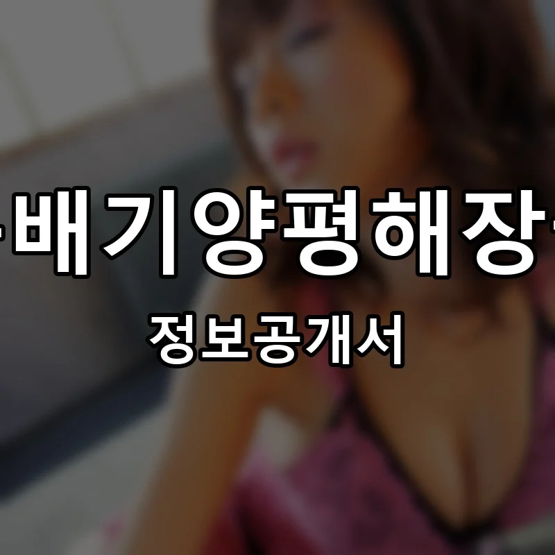 뚝배기양평해장국 프랜차이즈 창업 비용 정보공개서 요약