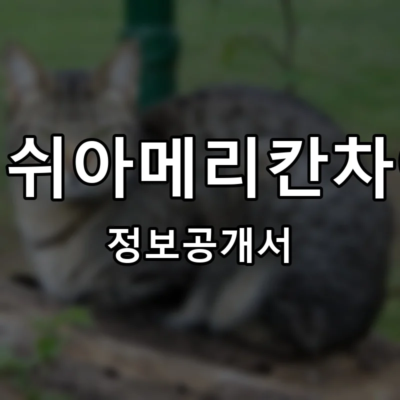 골든디쉬아메리칸차이니즈 프랜차이즈 창업 비용 정보공개서 요약