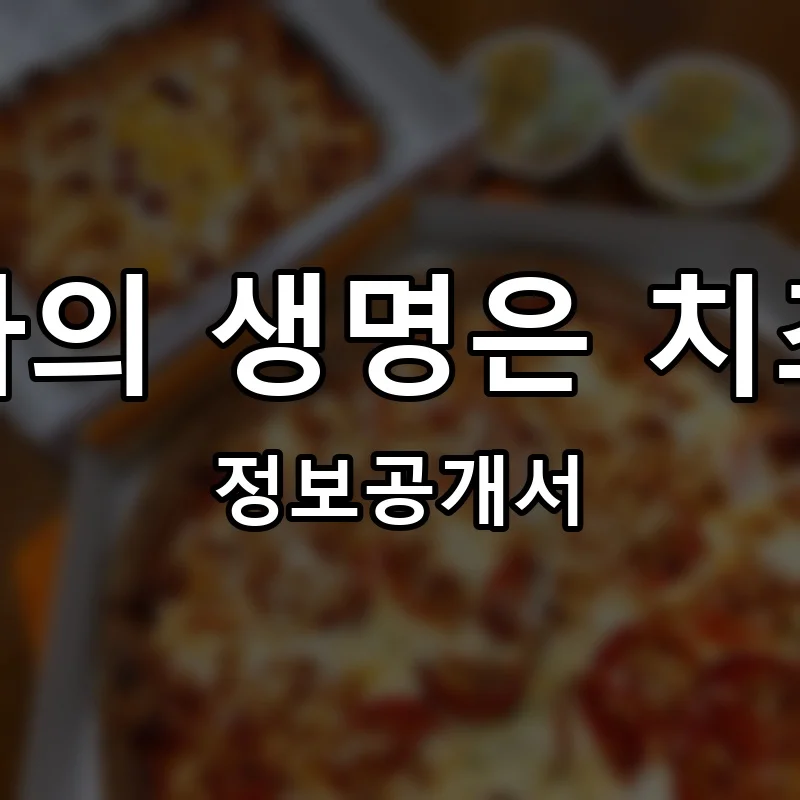 피자의 생명은 치즈다 프랜차이즈 창업 비용 정보공개서 요약