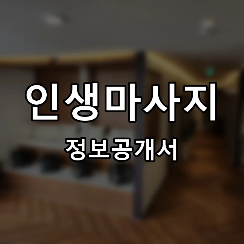 인생마사지 프랜차이즈 창업 비용 정보공개서 요약