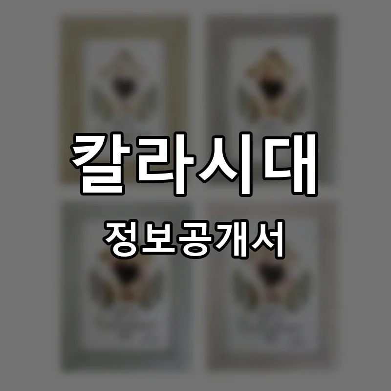 칼라시대 프랜차이즈 창업 비용 정보공개서 요약