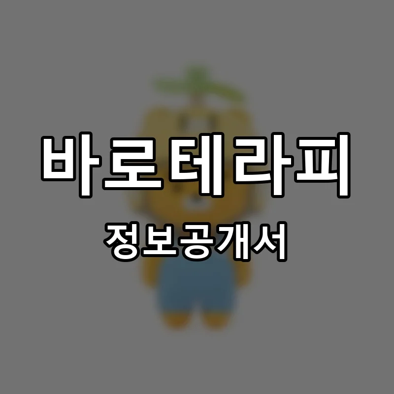 바로테라피 프랜차이즈 창업 비용 정보공개서 요약
