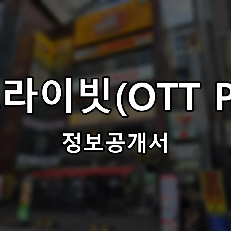 오티티프라이빗(OTT PRIVATE) 프랜차이즈 창업 비용 정보공개서 요약