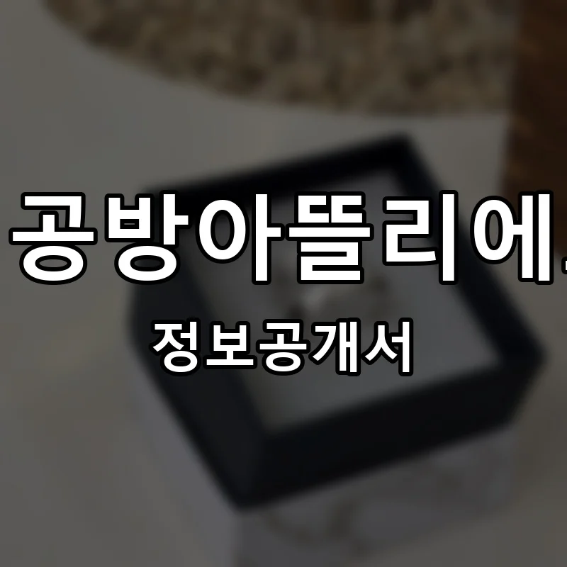 반지공방아뜰리에호수 프랜차이즈 창업 비용 정보공개서 요약