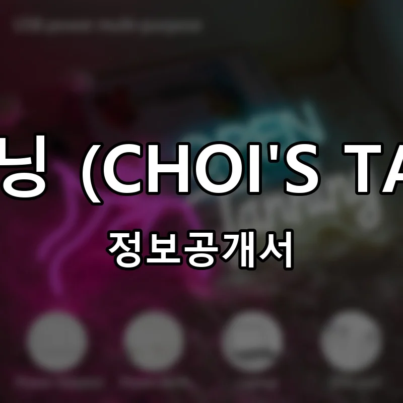 초이스태닝 (CHOI'S TANNING) 프랜차이즈 창업 비용 정보공개서 요약