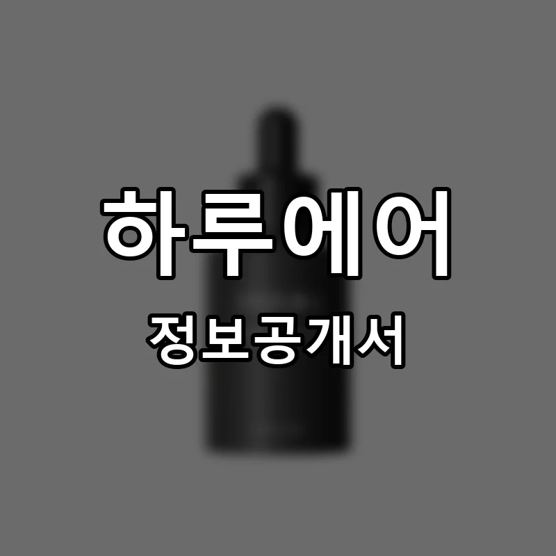 하루에어 프랜차이즈 창업 비용 정보공개서 요약