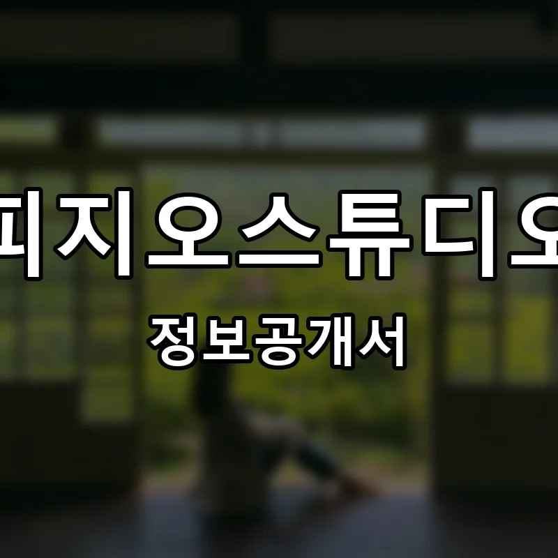 피지오스튜디오 프랜차이즈 정보공개서