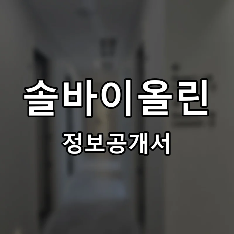 솔바이올린 프랜차이즈 창업 비용 정보공개서 요약